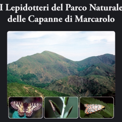 Farfalle a Marcarolo