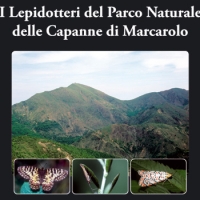 Farfalle a Marcarolo