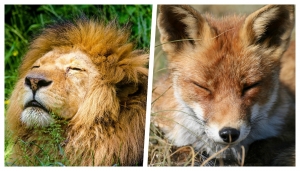 Dalla natura virtuale... a quella reale