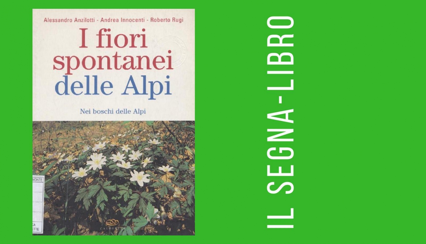 I fiori spontanei delle Alpi