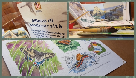 Riflessi di biodiversit&agrave; al Museo Borgogna di Vercelli
