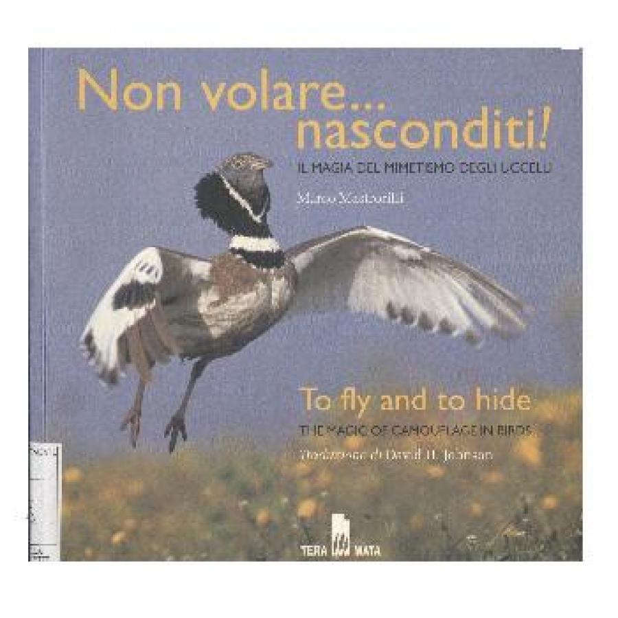 Non volare... nasconditi! La magia del mimetismo degli uccelli.