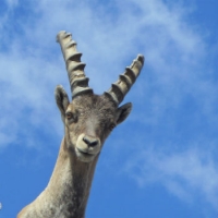 Riforma dei parchi, a che punto siamo