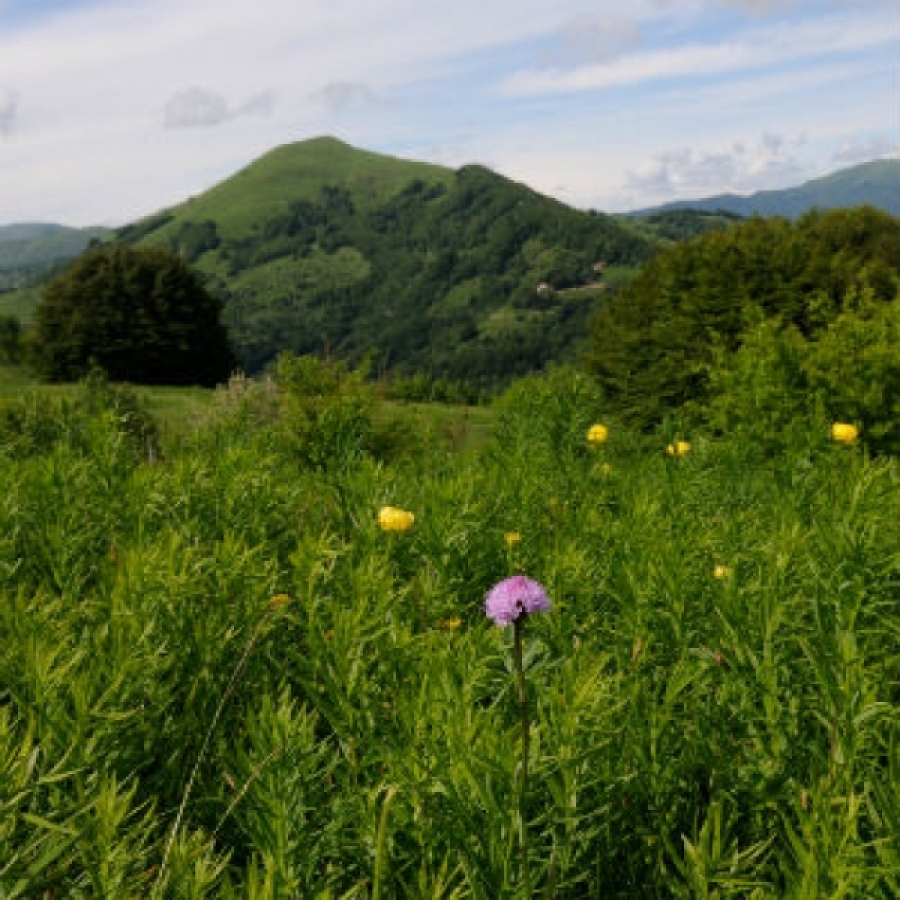 Un'immagine del Monte Carmo Foto. aree protette Appennino piemontese