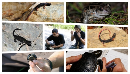 Foto Archivio Enti di gestione Aree protette  