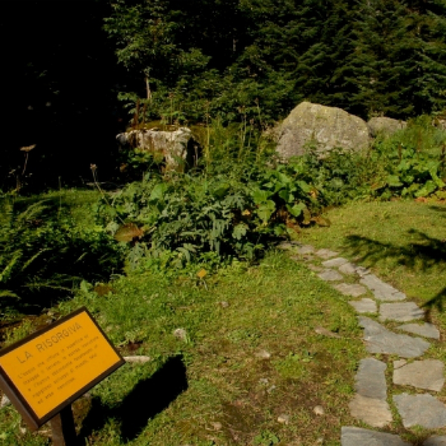 Gran Tour di primavera nei parchi del Piemonte