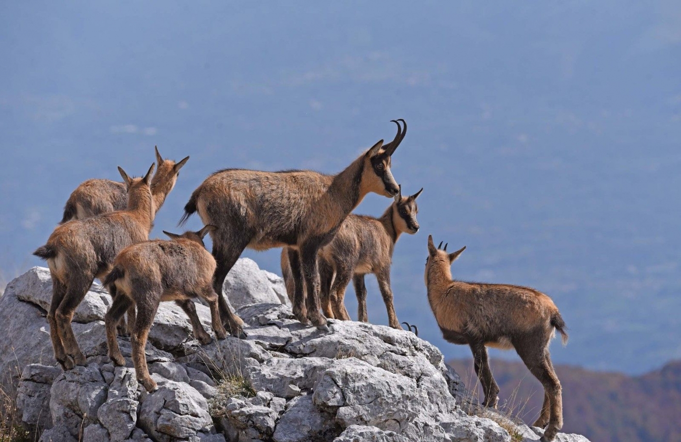 Foto A. Iannarelli - Archivio PNALM 
