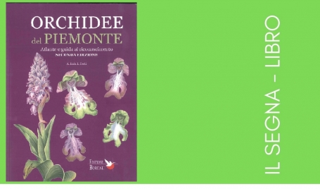 Orchidee del Piemonte. Atlante e guida al riconoscimento