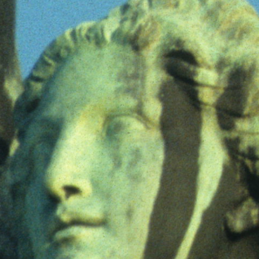 Gli alberi del ricordo