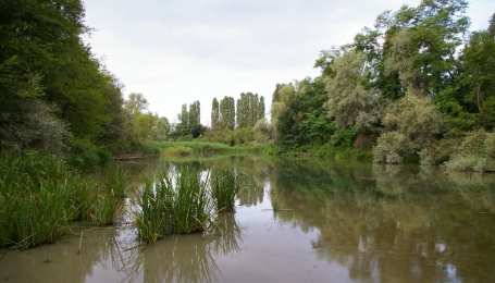 La Lanca di San Michele, presso Carmagnola, area oggetto degli interventi finanziati dal Bando 2019 - Foto R. Ostellino 