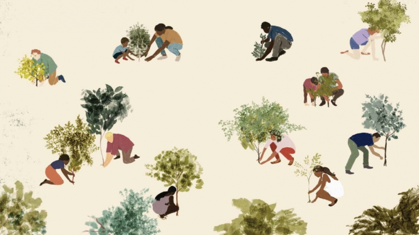 Illustrazione di Lida Ziruffo, tratta da "L'albero e la citt&agrave;" 