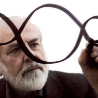 Riflessioni sull'ecologia del diritto