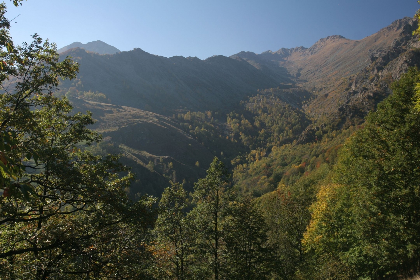 Bosco in Val Sangone - Foto T. Farina 
