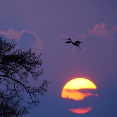 Alba nella riserva Foto Bruno De Faveri