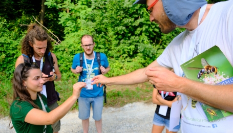 Nella foto, Umberto Maritano in un bioblitz a Dronero, nell'estate 2025  | Foto L. Astesano