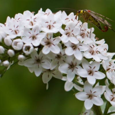 Oropa premia i vincitori del concorso fotografico