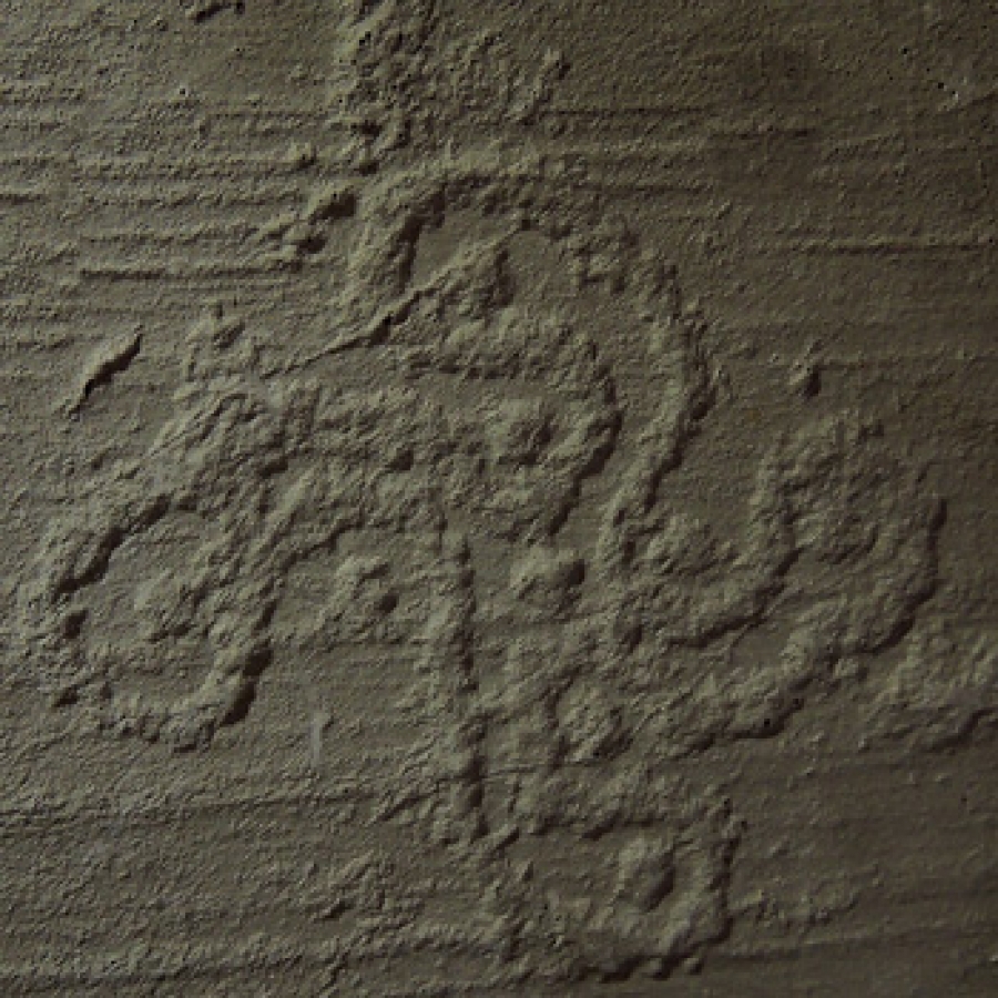 Camonica, settemila anni di storia raccontata nelle sue incisioni