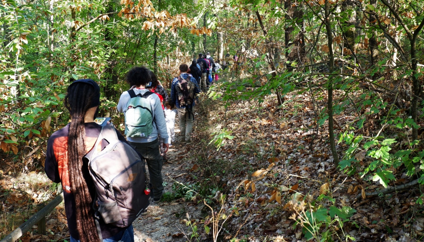 A spasso nel bosco del Parco di Rocchetta Tanaro - Itinerario n. 7 | Foto A. Molino 