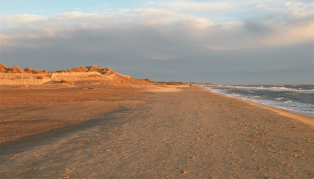 Plage de l'Espiguette 