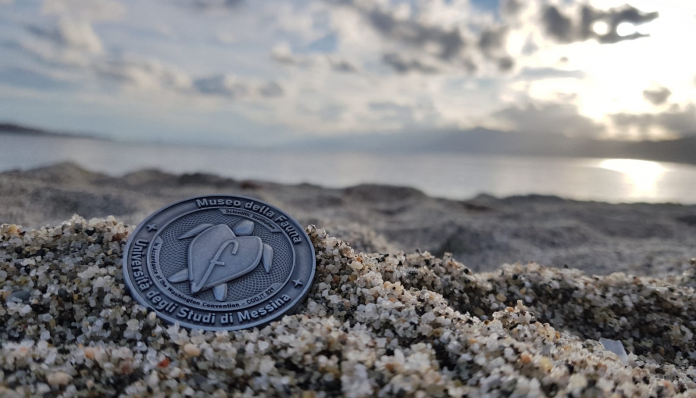 Medaglia commemorativa su una spiaggia dello Stretto di Messina - Foto A. Cassar Aveta 