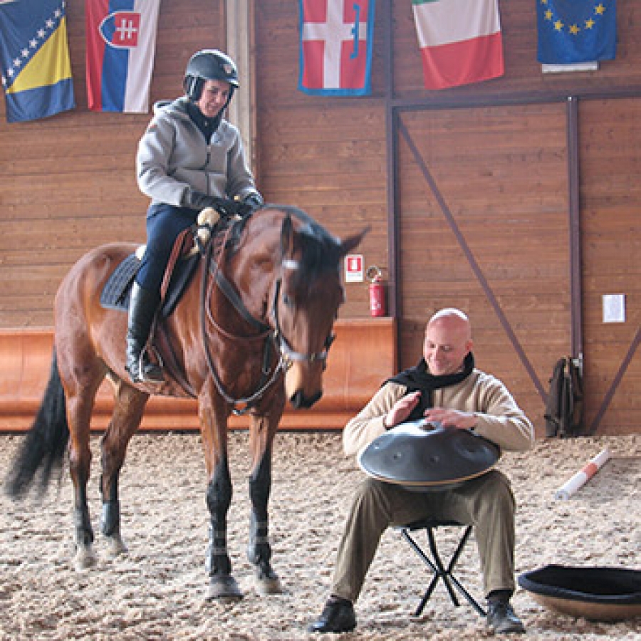 L&rsquo;uomo che sussurra (note) ai cavalli