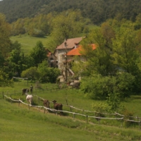 L'ecomuseo di Cascina Moglioni tutela la biodiversit&agrave;