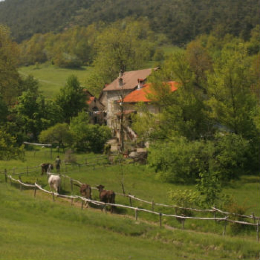 L'ecomuseo di Cascina Moglioni tutela la biodiversit&agrave;