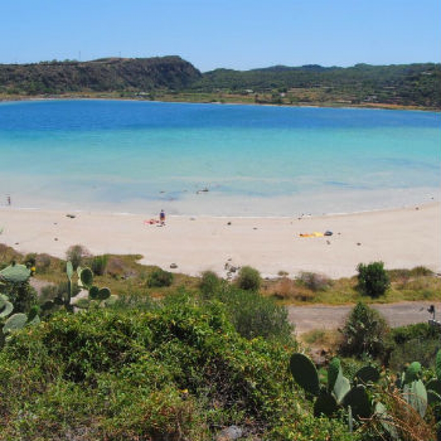 10mila alberi per Pantelleria