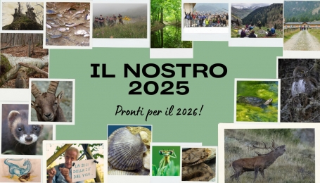 Vi raccontiamo il nostro 2025