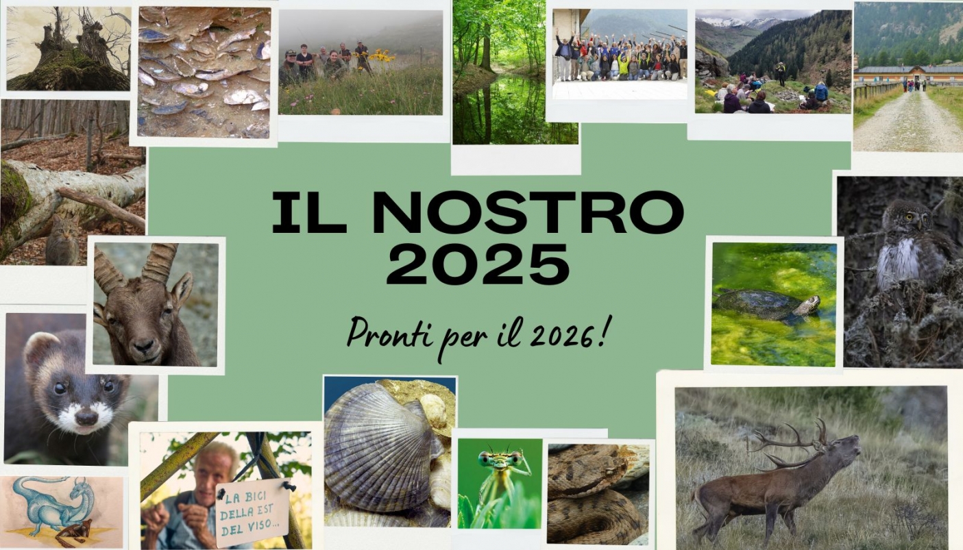 Vi raccontiamo il nostro 2025