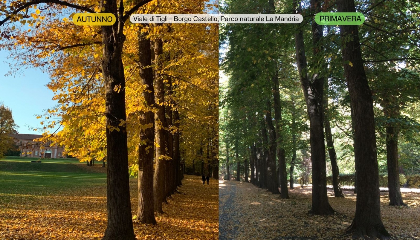 Infografica di A.Gado 