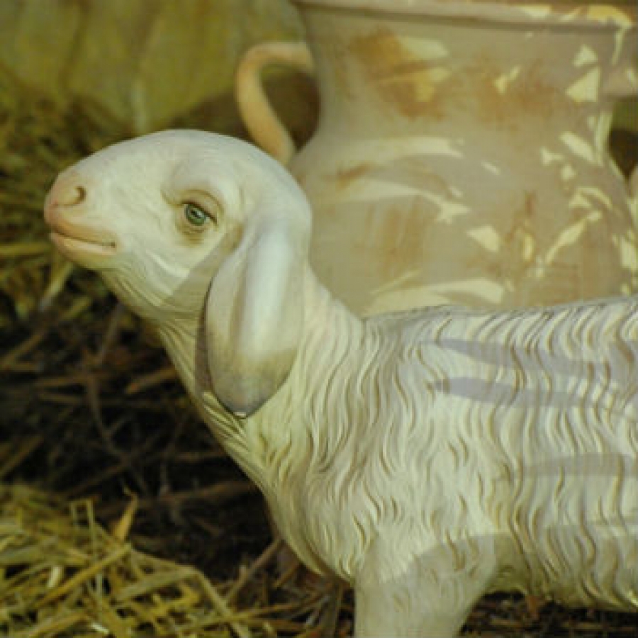 Atmosfere da presepio nei parchi piemontesi