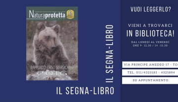 Rapporto orso marsicano 2016