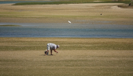 Raccolta conchiglie a Ilha Deserta (Foto L. Giunti)