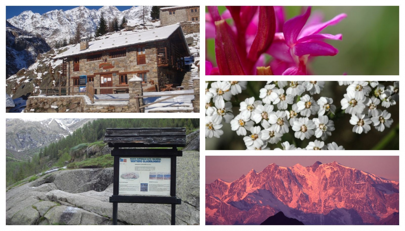 Da sx in alto (senso orario): la Casa del Parco, Dactylorhiza sambucina, Achillea millefolium, Il Monte Rosa al tramonto, cartello segnaletico e una marmitta dei giganti - Foto Archivio EGAP Valsesia