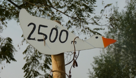 Segnavia sul sentiero 