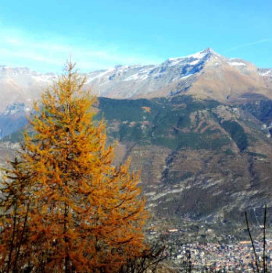 Rocciamelone in autunno, Val di Susa foto di Loredana Matonti
