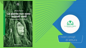 Le piante non sono animali verdi
