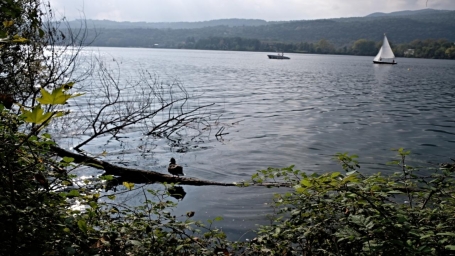 Una veduta del Lago Grande di Avigliana - Foto A. Corr&agrave; 