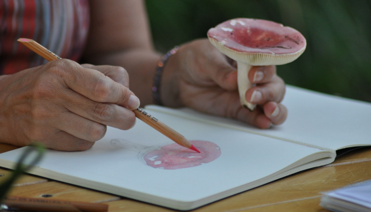  (Foto arc. Ente di gestione) 