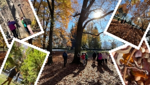 Alcuni momenti dell'esperienza 'bagno in foresta' 