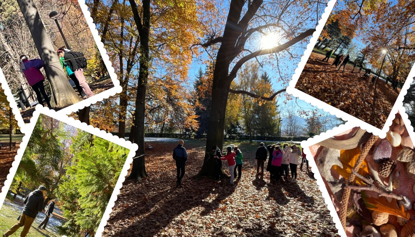 Alcuni momenti dell'esperienza 'bagno in foresta'  | Foto E. Celona 