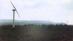 Parco eolico -