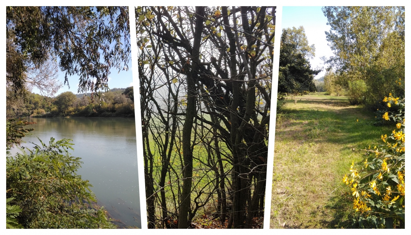 Nella foto, ai lati Isola Colonia a Palazzolo vercellese; al centro un bosco nel parco  