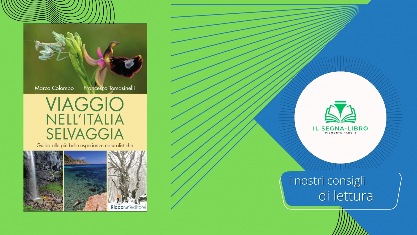 Viaggio nell'Italia selvaggia