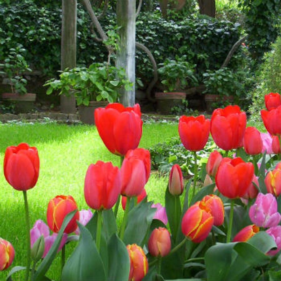 Giardino Villa San Michele 