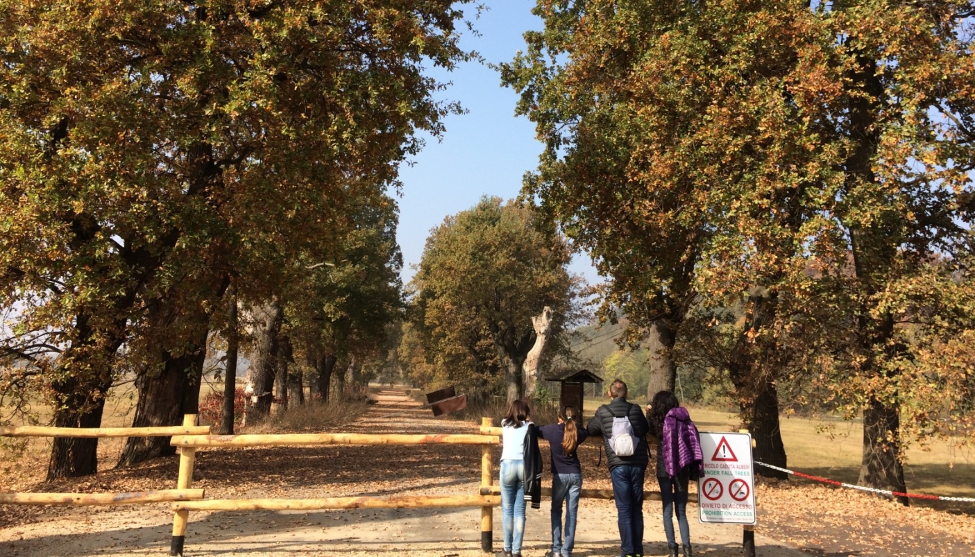 Viale dei Roveri prima dell'evento climatico estremo | Foto archivio Parco La Mandria