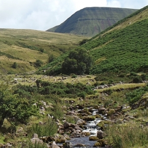 Il geoparco della 'Grande Foresta'