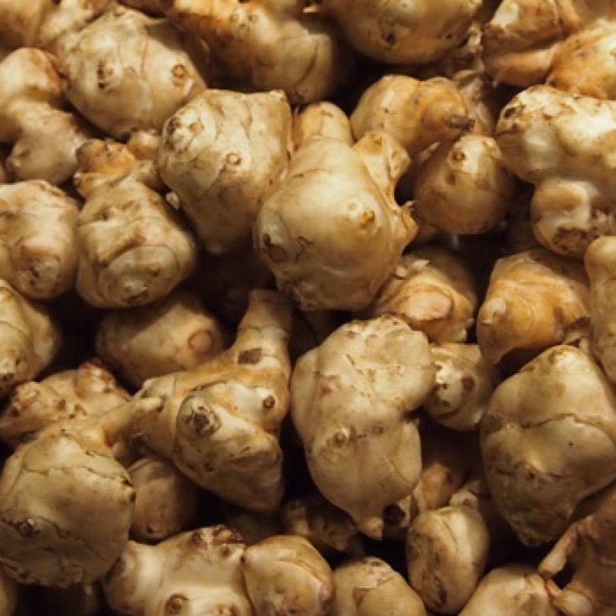 Ciapinab&ograve;: un tubero da rivalutare