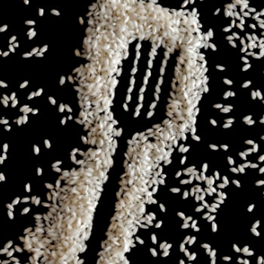 Parchi da gustare al Salone del Gusto - Terra Madre 2016